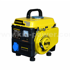 1000W mini digital gasoline inverter generator