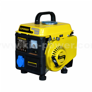 1000 W Mini-Digital-Benzin-Inverter-Generator